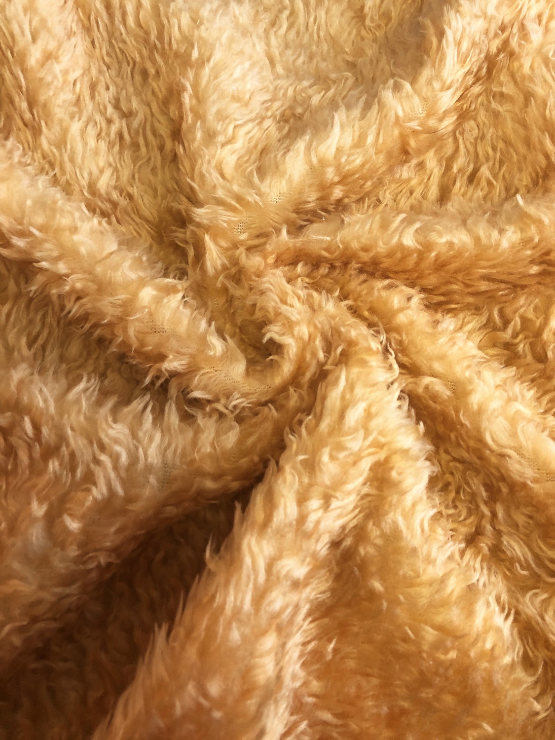 CURLY Teddy Faux Fur Fabric Material - OLD BEAR - CRS Fur Fabrics