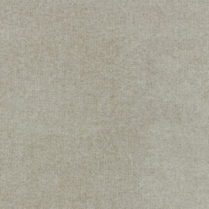Hyde-Sydney Chenille Upholstery Fabric Top Fabric Color: Cosmo